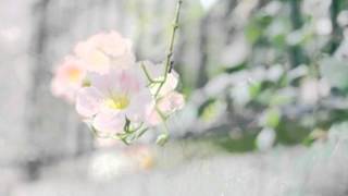 Eternal Life - JJ Lin (Lâm Tuấn Kiệt)