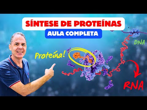 SÍNTESE PROTEICA: Transcrição e Tradução Aula Completa | Ciência Traduzida com Professor Hilton