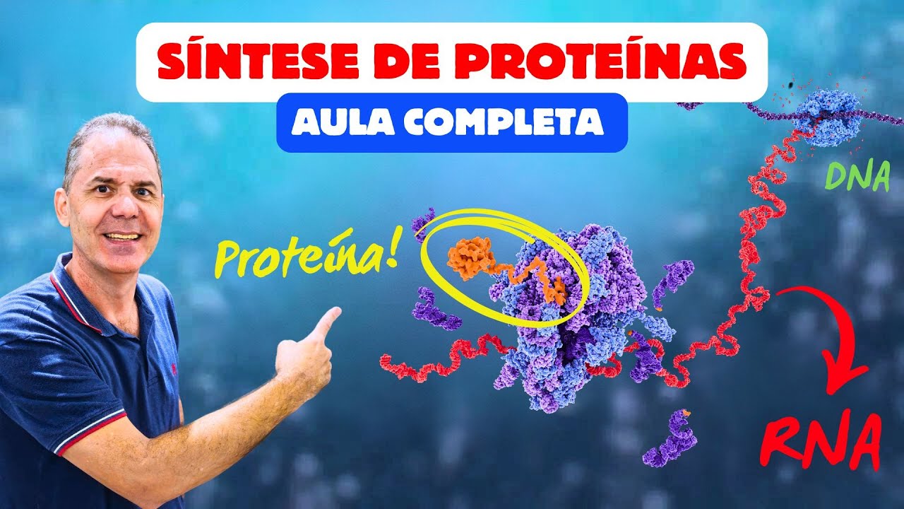 SÍNTESE PROTEICA: Transcrição e Tradução Aula Completa | Ciência Traduzida com Professor Hilton