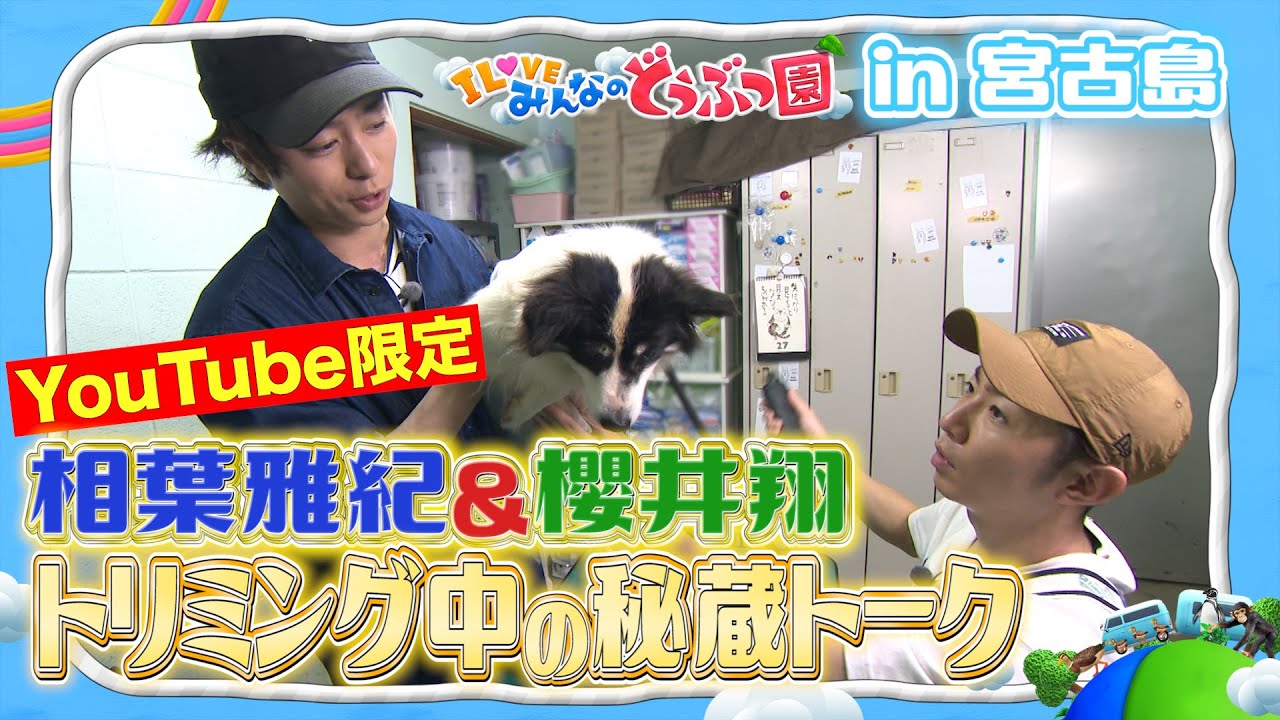 【相葉雅紀&櫻井翔】2人が気になっていたあの人のモノマネ/秘蔵トークin宮古島【YouTube限定】Masaki Aiba & Sho Sakurai Rescued Dog trimming