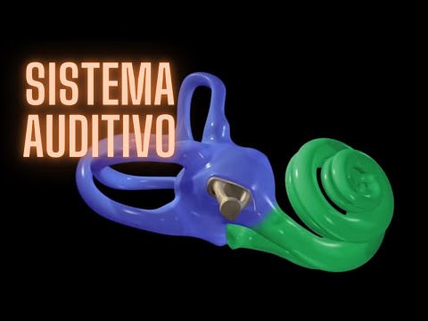 Conheça o funcionamento do sistema auditivo humano [animado!]