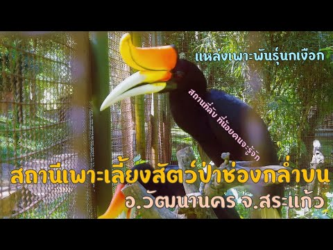 Chong Klam Bon Wildlife Breeding Station