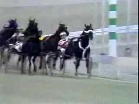 1989 Windsor Raceway  MYSTERY FUND Provincial Cup Final Bill Gale