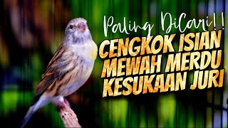 Download lagu MATERI ISIAN MEWAH JAWARA ! MASTERAN KENARI ISIAN BLACKTHROAT GACOR PALING DICARI #47 mp3 Download lagu MATERI ISIAN MEWAH JAWARA ! MASTERAN KENARI ISIAN BLACKTHROAT GACOR PALING DICARI #47 mp3