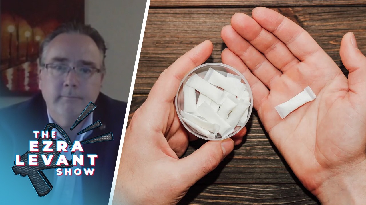 Only Liberals could ruin nicotine pouch regulation: Red Tape Reduction Minister Dale Nally