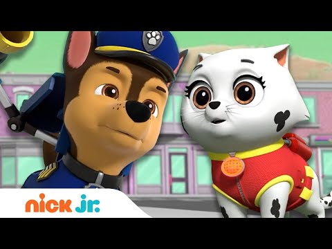 PAW Patrol vs. Mayor Humdinger's Barking Kitties! | Nick Jr.