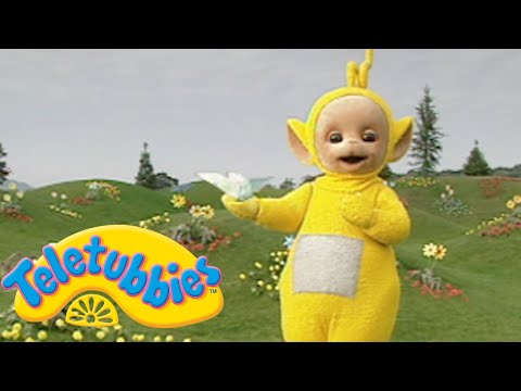 Teletubbies | Learn About Birds With The Teletubbies | Shows for Kids