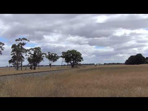 4PM4 NRs 62 & 83 at Pura Pura Vic  14.3.2021