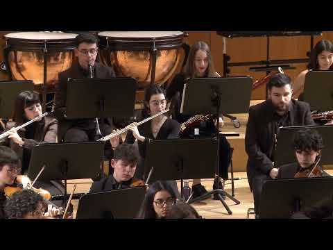 Concierto Granada 1
