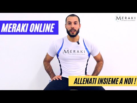 MERAKI ONLINE - Palestra virtuale di Arti Marziali e Calisthenics