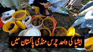 Download lagu tirah charas Mandi Pakistan mp3 Download lagu tirah charas Mandi Pakistan mp3