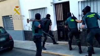 Operación Hernán Cortés en Montijo: desmantelados puntos de cultivo y tráfico de drogas en viviendas