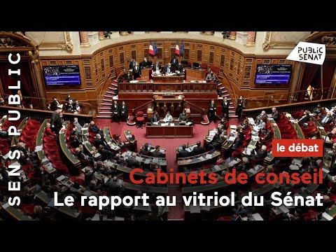 Cabinets de conseil, le rapport au vitriol du Sénat