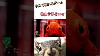 【Squirrel with a Gun】リスがで暴れるゲームがめっちゃおもろいww #ゲーム実況