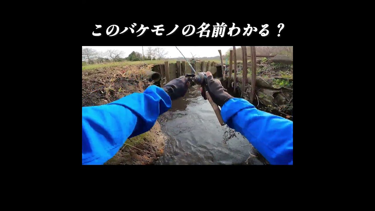 このバケモノの名前わかる？