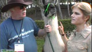 Jungle Jenny 2010 Pet Expo Part 4 Jess the Llama