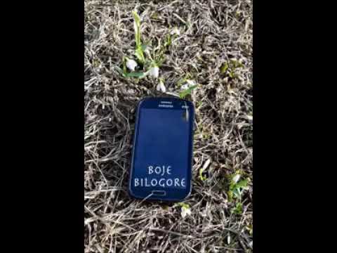 Zelen lišće goru kiti Ratko Radulović (cover)