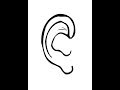 VERY HIGH PITCH SOUND 10 HOUR VERSION