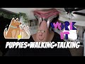 CHAOTIC VLOG/NEW PUPPY (Walking-Talking) DEFAULT Thumbnail