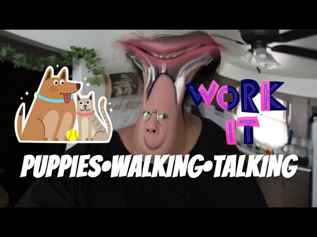 CHAOTIC VLOG/NEW PUPPY (Walking-Talking) SDDEFAULT Thumbnail