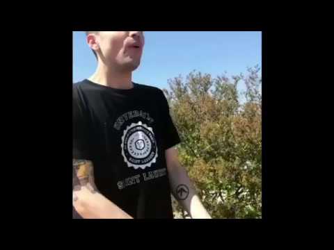 Best of Mitch Grassi