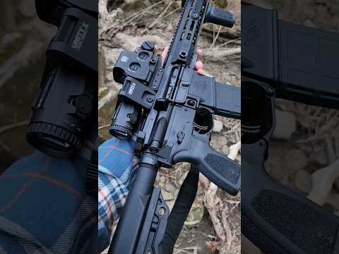 Best Budget Rifle on the Market?! PSA Sabre