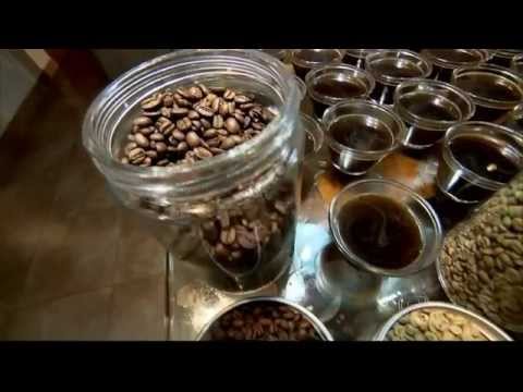 Globo Repórter fala sobre o café, a bebida mais amada do Brasil
