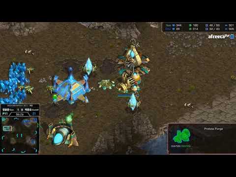 SCR ASL5 Wildcard Qualifier Rain vs Killer G2