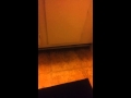 Soon thy will be done Mahalia Jackson cover