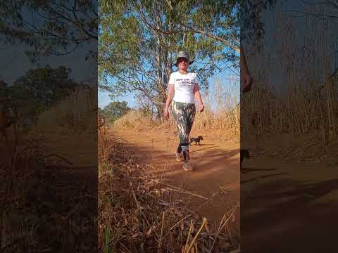 Caminhada sertaneja Comunidade Santa Rita município Vianópolis Goiás Brasil
