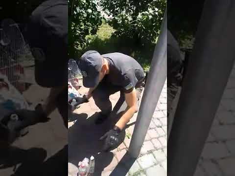 У Франківську вартові затримали людей, які серед білого дня на вулиці торгували сурогатом. ВІДЕО