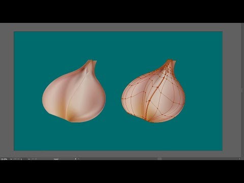 Adobe Illustrator : How to using Mesh Tool create shallot