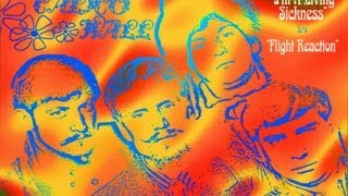 The Calico Wall - I&#39;m A Living Sickness (1967)