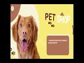 Pet Shop Ad Motion Graphics After Effects