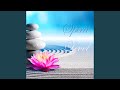 Insight (Interlude)