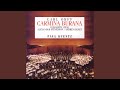 Carmina burana, cour d'amours: "Circa mea pectora"