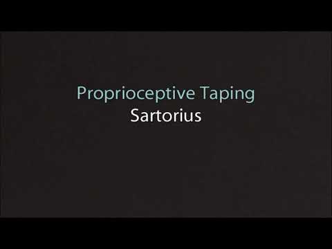 Sartorius Proprioceptive Taping