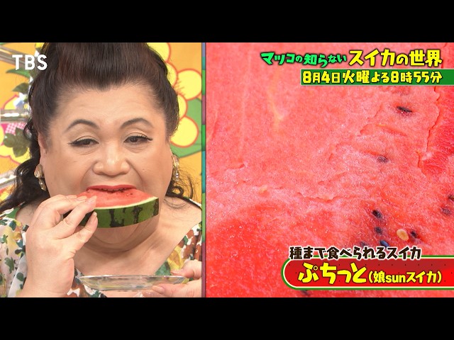 マツコの知らない世界🈖🈑【毎週火曜よる８時５５分！マツコ仰天！驚きの世界】