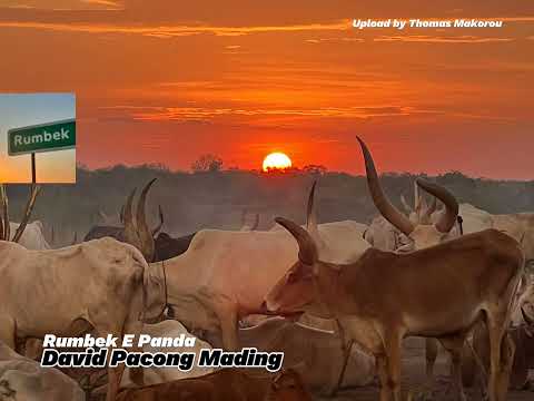 Rumbek e Panda by David Pacong Mading