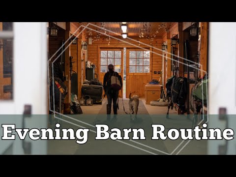 Evening BARN ROUTINE & Feeding the Horses | Spring Time Daily Barn Chores • EQUESTRIAN Eventing VLOG