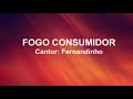 FERNANDINHO FOGO CONSUMINDOR