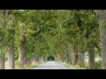 Biesiadne - "W zielonym gaju" 