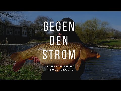 Fluss-Vlog 9 (1/2) der wohl beste Platz im Fluss - Futterplatz im Fluss - Karpfenangeln im Frühling