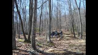 preview picture of video 'Jeeps playing.in the Blue Ridge Mtns. of VA.'