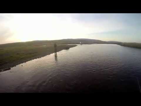 Víðidalsá Bleikja