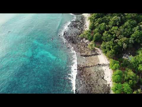 NATURE | SERIES | 004