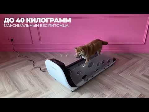 Обзор - Беговая дорожка YESOUL T-Q1 для собак