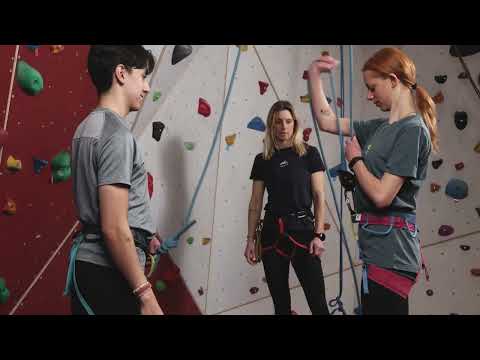 Grönt kort – så går uppklättringen till