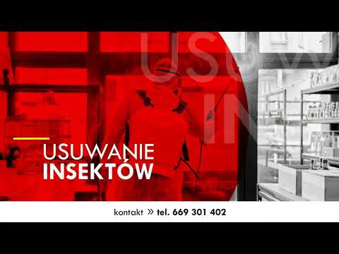 Zobacz filmy, Kris DDD Krzysztof Jacuński Dezynfekcja, Dezynsekcja, Deratyzacja, Więcbork