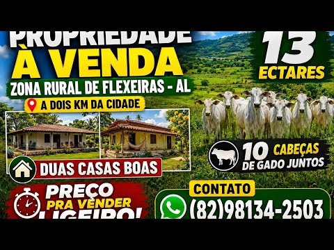 ATUALIZAÇÃO DO CANAL )( PROPRIEDADE A VENDA )( ZONA RURAL DE FLEXEIRAS -AL ) 